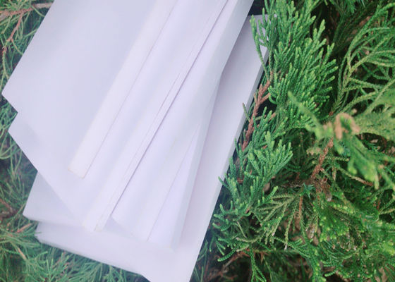 Lightweight White Extruded Foam Board As Advertising Signboards 5FT * 8FT * 1 / 5IN